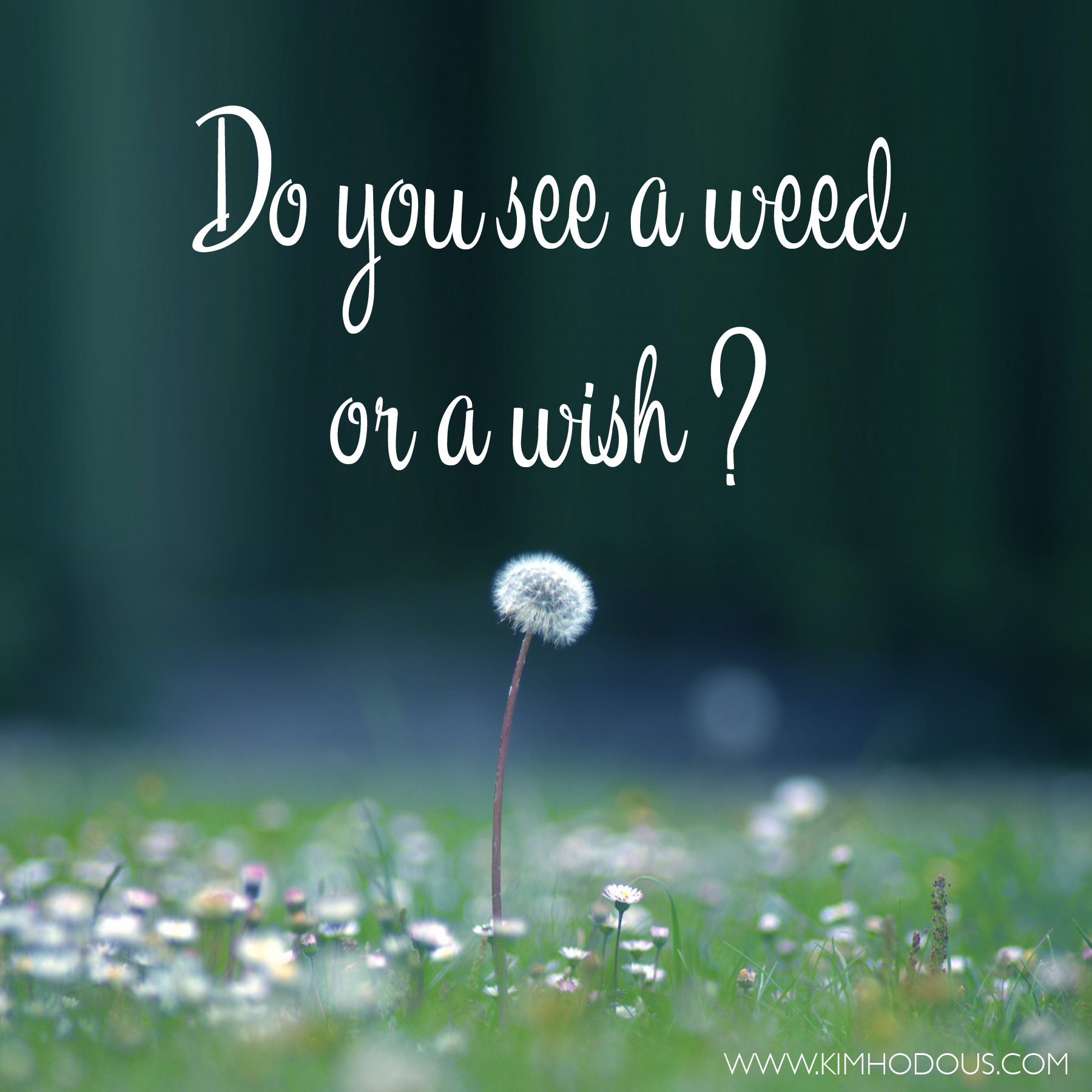 WEED OR WISH