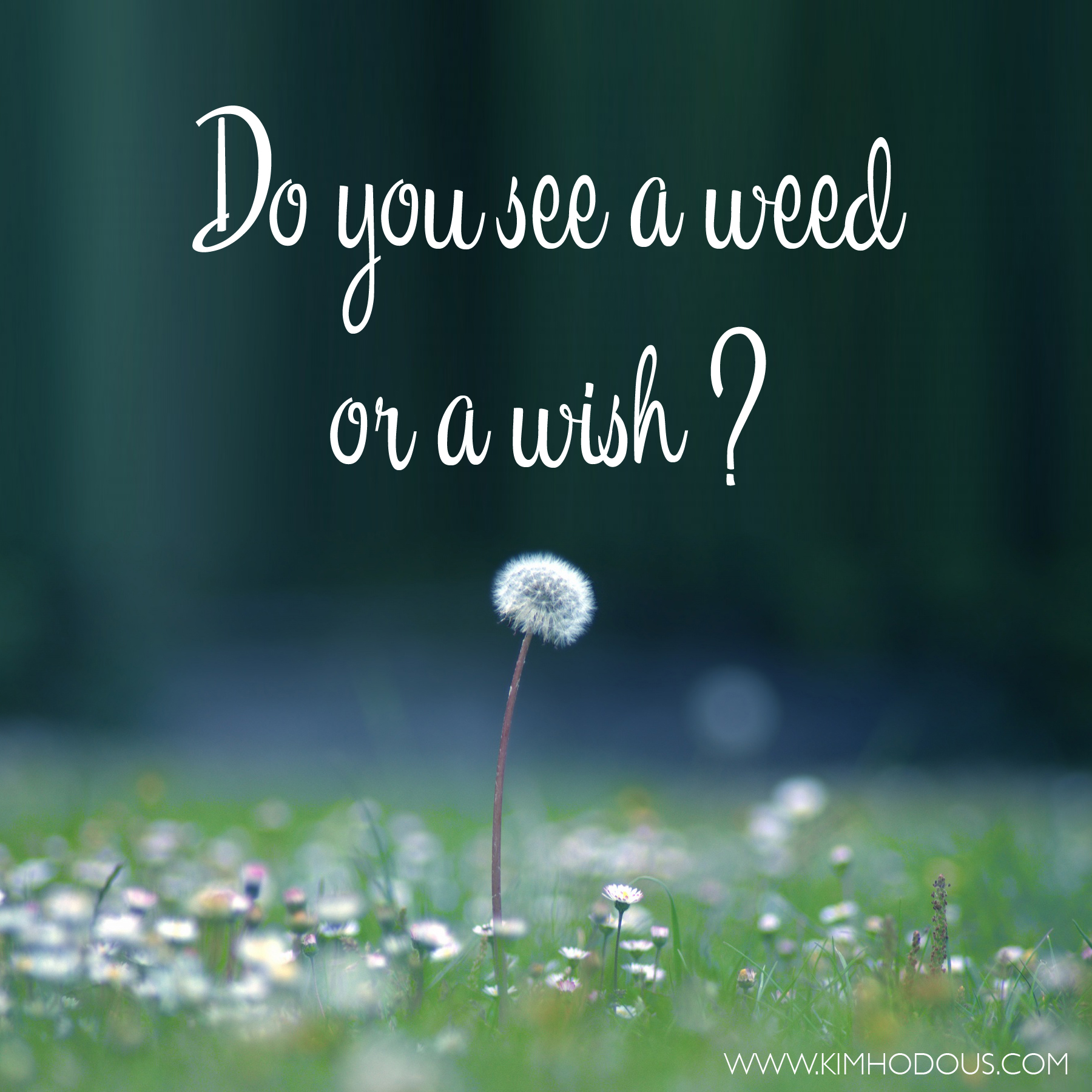 WEED OR WISH