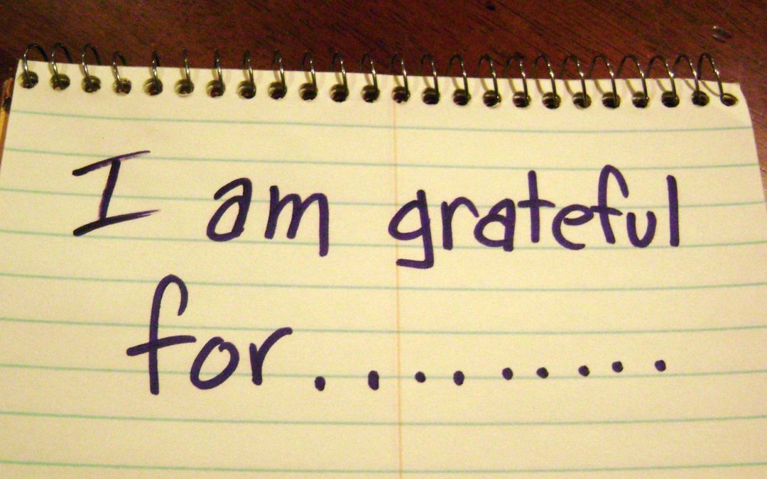 Every Day Gratitude…